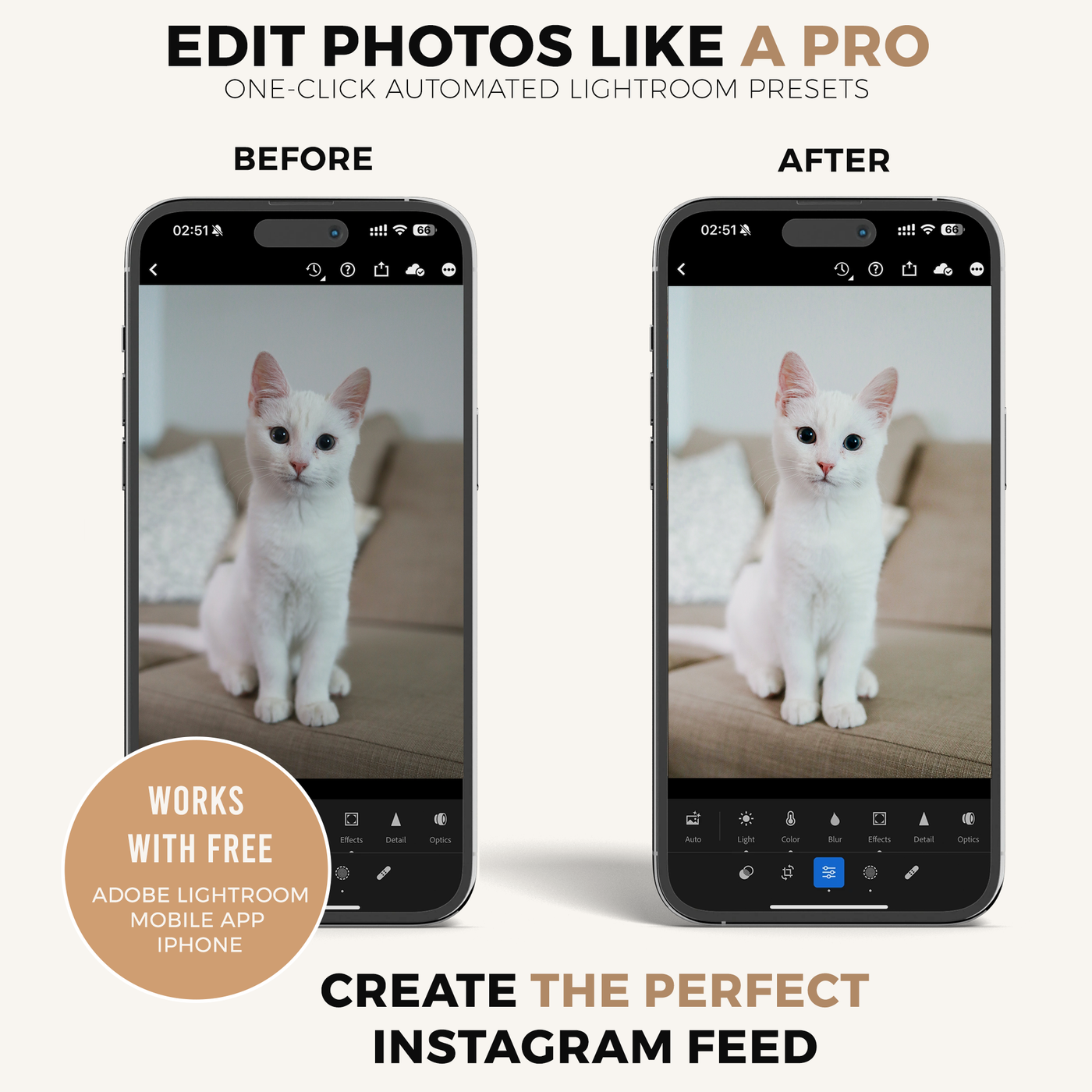 Cat Lightroom Presets