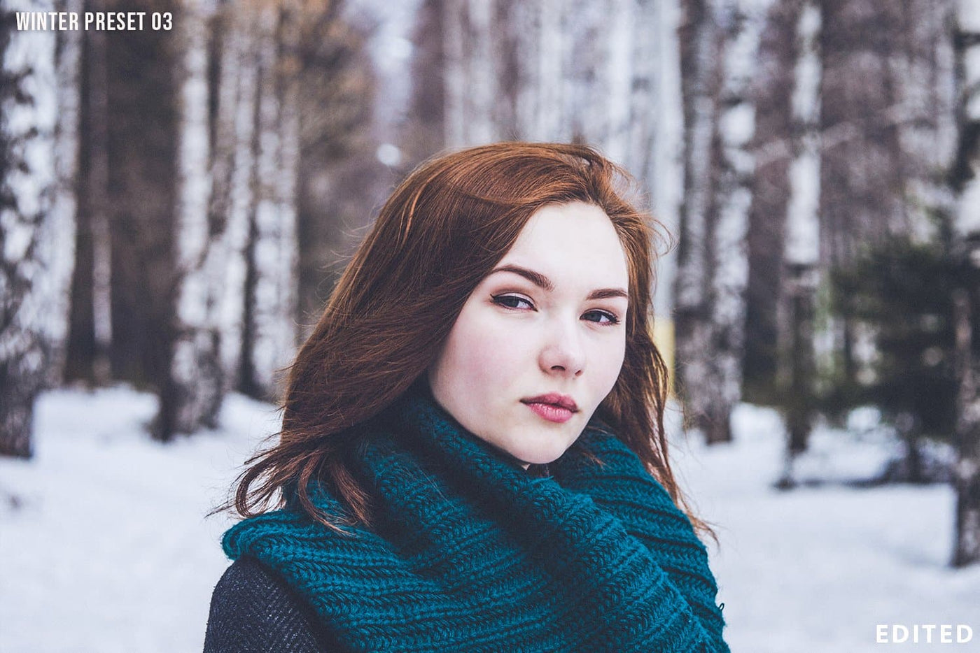 Pro winter lightroom presets & Photoshop Presets – Presetsh