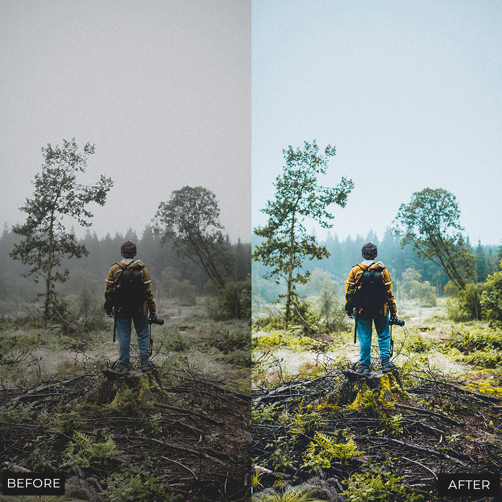 Presets Adobe Lightroom