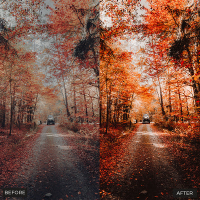 Fall Vibes Lightroom Presets Collection - Presetsh