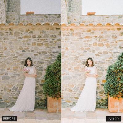 Airy Wedding Video Luts