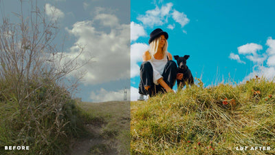 Atmospheric LUTs Pack Color Grading