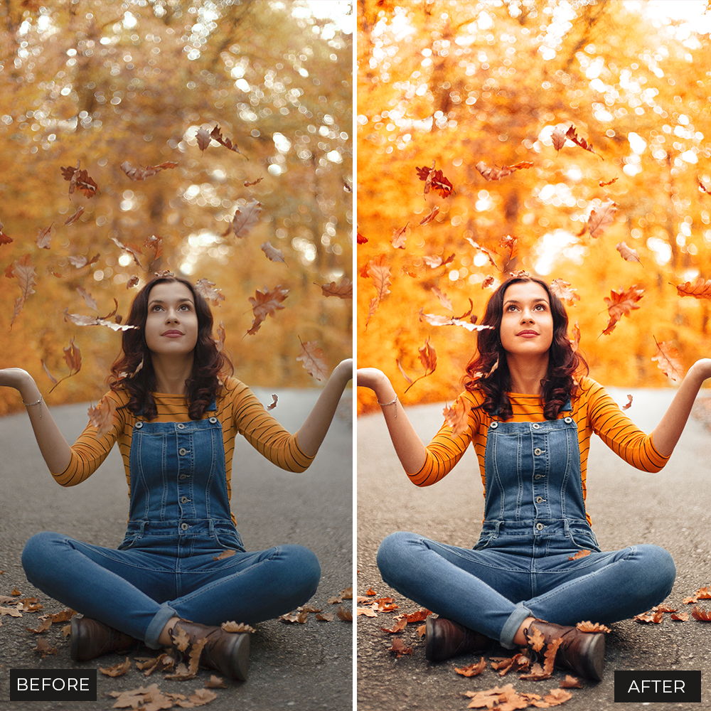 Autumn Video Luts