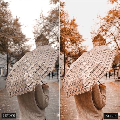 Autumn Video Luts 