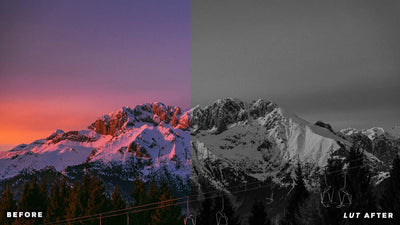 Black and White LUTs  