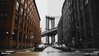 Black and White LUTs 
