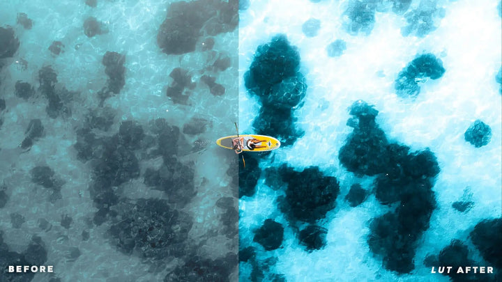 DRONE LUTs