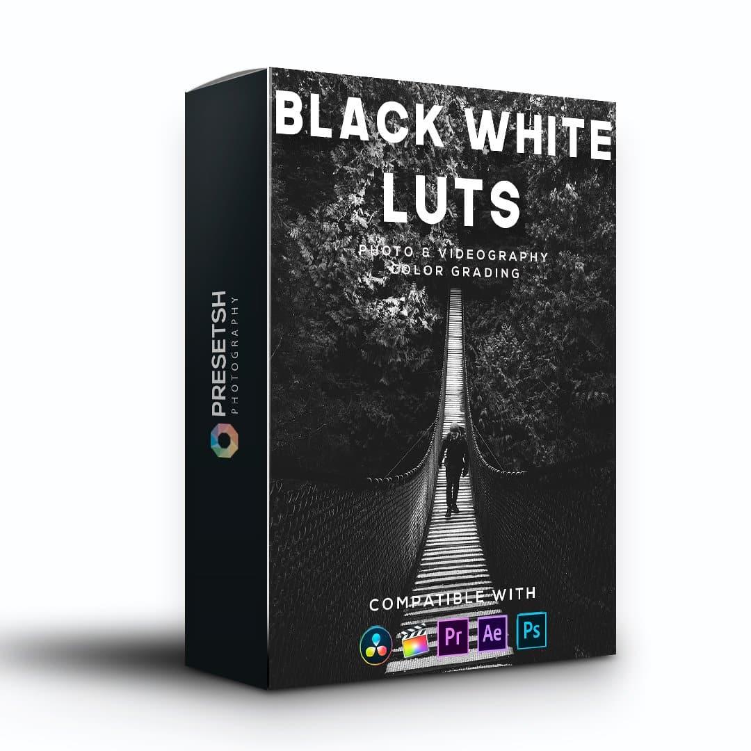 Black & white LUTS - Presetsh