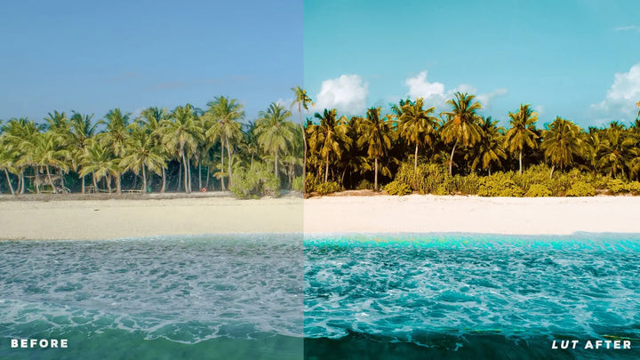 Tropical LUTs 