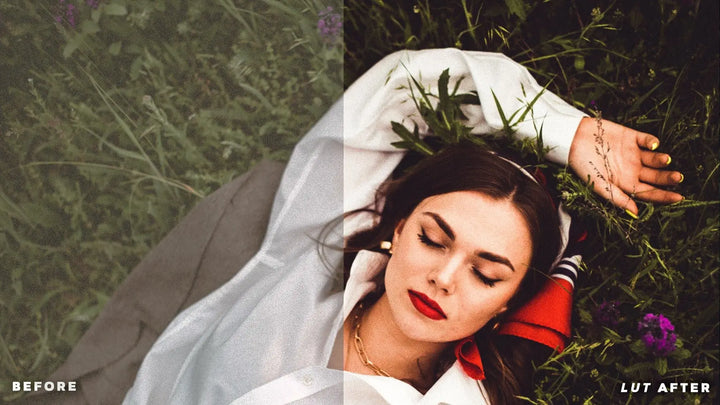 Vintage look LUTs 